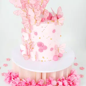 pinky butterfly cake